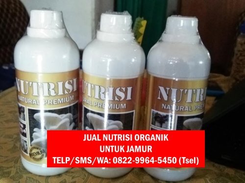 1 Pusat Produk Obat Penyubur Jamur Tiram Yogyakarta, Produsen Produk Nutrisi Jamur Tiram Yogyakarta, Distributor Produk Vitamin Perangsang Jamur Tiram Yogyakarta