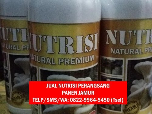 1 Pusat Produk Obat Penyubur Jamur Tiram Yogyakarta, Produsen Produk Nutrisi Jamur Tiram Yogyakarta, Distributor Produk Vitamin Perangsang Jamur Tiram Yogyakarta