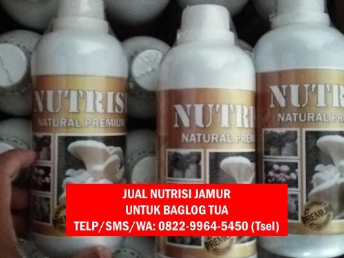1 Pusat Produk Obat Penyubur Jamur Tiram Yogyakarta, Produsen Produk Nutrisi Jamur Tiram Yogyakarta, Distributor Produk Vitamin Perangsang Jamur Tiram Yogyakarta