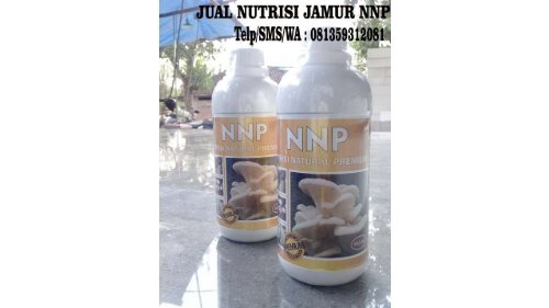 SUBUR!!!Telp/WA : 0813-5931-2081 (Tsel), Pusat Distributor Nutrisi Jamur Kebumen