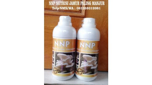 SUBUR!!!Telp/WA : 0813-5931-2081 (Tsel), Pusat Distributor Nutrisi Jamur Kebumen