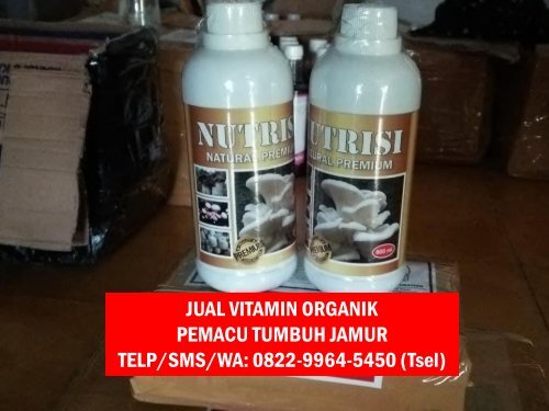 PILIHAN TERBAIK! TELP/SMS/WA : 0822-9964-5450 (Tsel) - Harga Murah Pupuk Pemacu Pertumbuhan Jamur Tiram Putih dan Coklat,