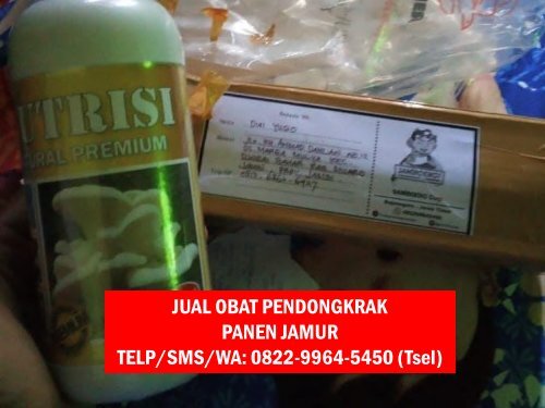 PILIHAN TERBAIK! TELP/SMS/WA : 0822-9964-5450 (Tsel) - Harga Murah Pupuk Pemacu Pertumbuhan Jamur Tiram Putih dan Coklat,