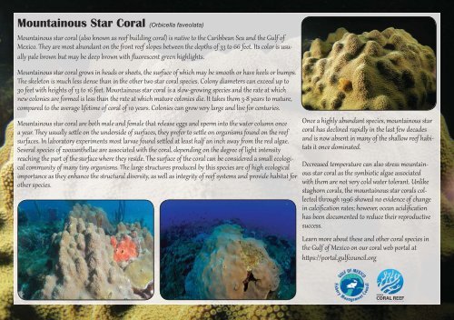 ESA Corals From the Gulf of Mexico