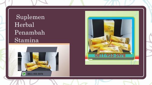 CALL/WA 0811-9555-978, Suplemen Herbal Untuk Vitalitas Pria, KOSAGI Riau