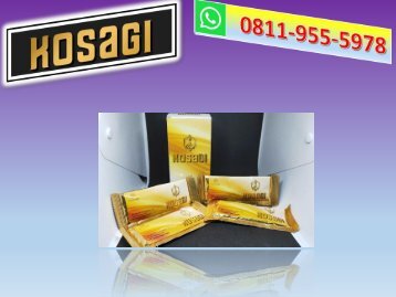 AMAN!!! CALL/WA 0811-9555-978 Suplemen Herbal Untuk Stamina Pria KOSAGI Siak