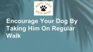 Encourage Your Dog By Taking Him On Regular Walk