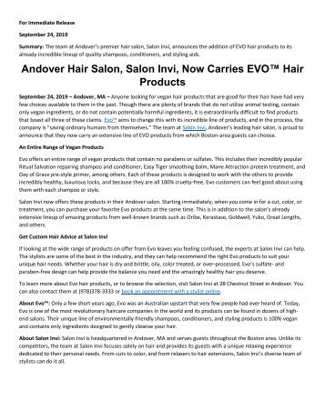 Andover Hair Salon, Salon Invi, Now Carries EVO™ Hair Products