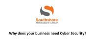 Why does your business need Cyber Security?