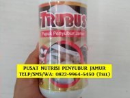 PILIHAN TERBAIK! TELP/SMS/WA : 0822-9964-5450 (Tsel) -nPusat Produk Obat Penyubur Jamur Tiram Putih dan Cokelat