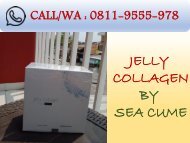 PROMO!!! CALL/WA 0811-9555-978, Jelly Collagen By Seacume Serum Kecantikan Karawang