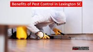 Benefits of Pest Control in Lexington SC