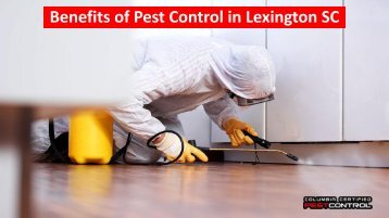 Benefits of Pest Control in Lexington SC