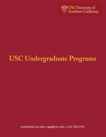 Undergraduate Programs