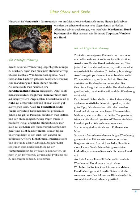 TiertrainingDiamant_HerbstWinter2019_1.Ausgabe_20.10.2019