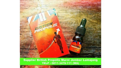 DISTRO !! TELP : 0811-3470-111 (WA), Agen British Propolis Asli Jember Lumajang 