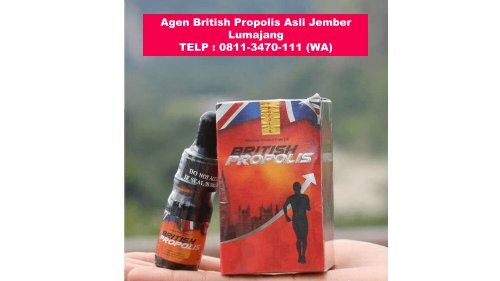 DISTRO !! TELP : 0811-3470-111 (WA), Agen British Propolis Asli Jember Lumajang 
