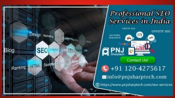 Available Latest SEO Services in Delhi by PNJ Sharptech