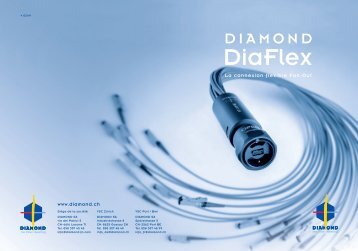 Flyer DiaFlex (French)