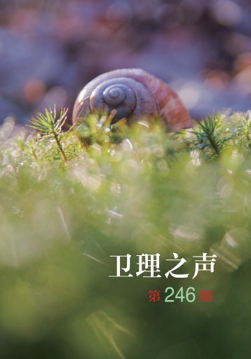 246c