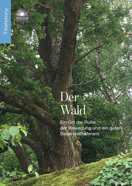 GUT ZUM HERZ | Das Magazin Ausgabe Oktober 2019 »Der Wald«