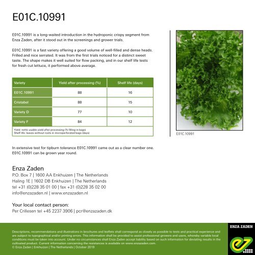 Leaflet Crispy Lettuce E01C.10991