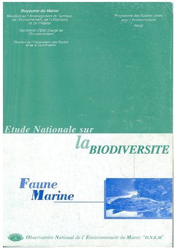 Faune Marine du Maroc