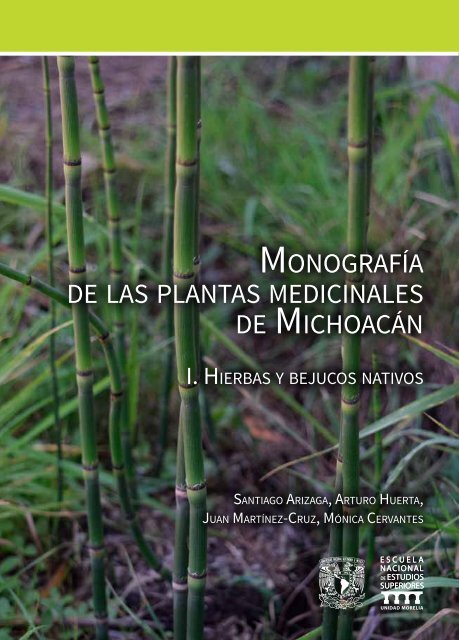 Monografía de las plantas medicinales de Michoacán. 1. Hierbas y bejucos nativos, por Santiago Arizaga