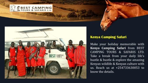 Best Camping Tours and Safaris