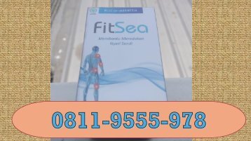 FITSEA Palembang, CALL/WA 0811-9555-978! Obat Herbal Nyeri Persendian 