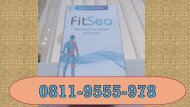 Fitsea 11