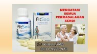JUAL FITSEA di Pontianak!!! CALL/WA 0811-9555-978, Obat Herbal Nyeri Persendian Pergelangan Kaki