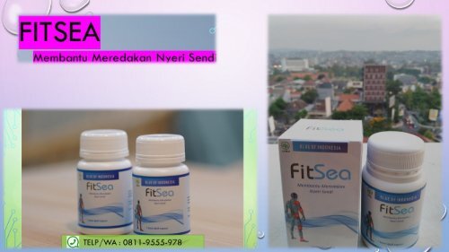 FITSEA Yogyakarta, 0811-9662-996! Obat Herbal Nyeri Sendi Bahu Sebelah Kiri