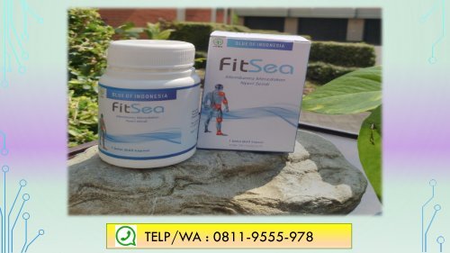 FITSEA Obat Herbal Nyeri Sendi di Semarang, CALL/WA 0811-9662-996, Nyeri Pada  Sendi Ekor