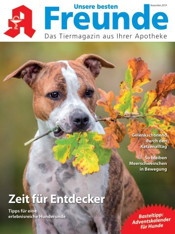 Leseprobe "Unsere besten Freunde" November 2019