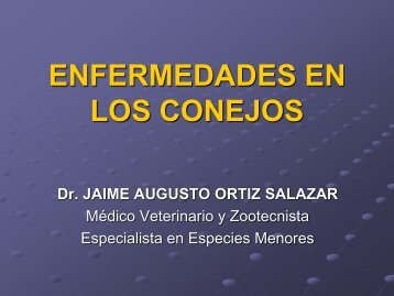 ENFERMEDADES-CONEJOS