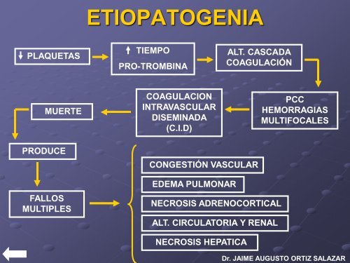 ENFERMEDADES-CONEJOS