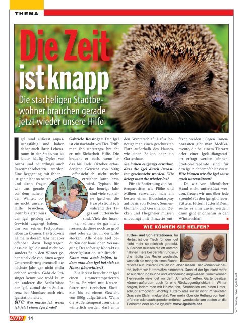 City-Magazin-Ausgabe-2019-11-Linz