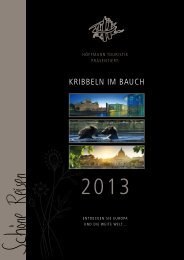 PDF Kribbeln im Bauch 2013 anschauen - Bustouristik