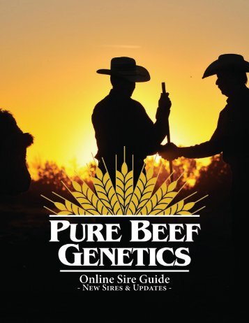 Pure Beef Genetics - Online Sire Guide