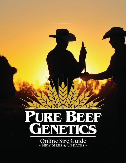 Pure Beef Genetics - Online Sire Guide