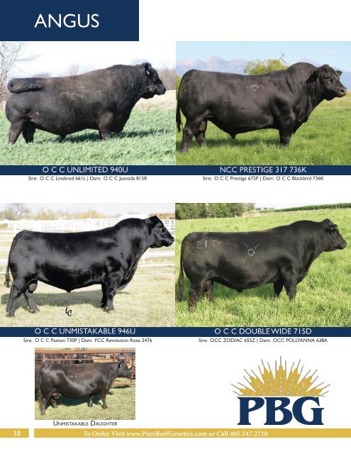 Pure Beef Genetics - Online Sire Guide