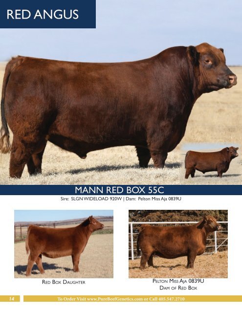 Pure Beef Genetics - Online Sire Guide