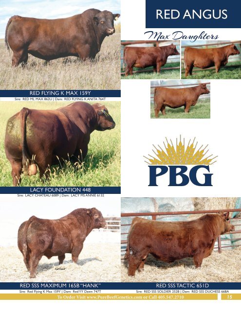 Pure Beef Genetics - Online Sire Guide