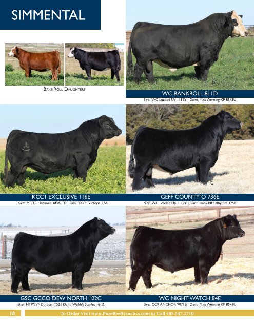 Pure Beef Genetics - Online Sire Guide