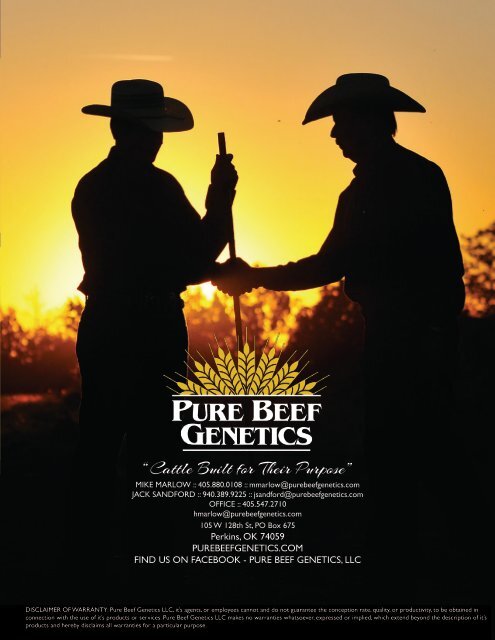 Pure Beef Genetics - Online Sire Guide