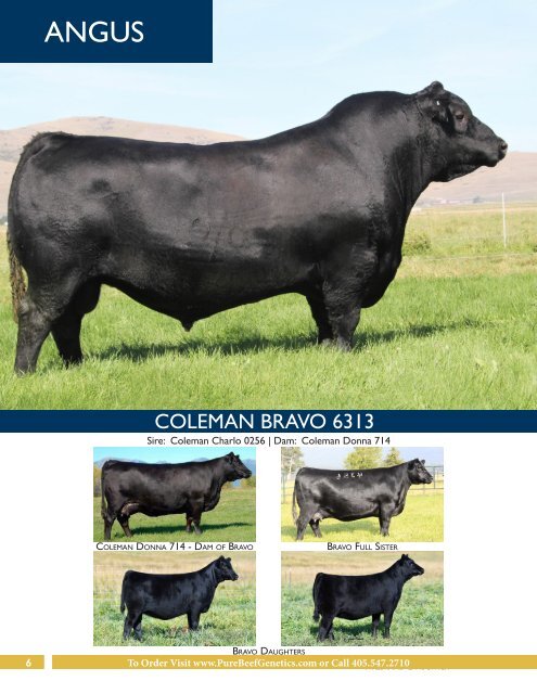 Pure Beef Genetics - Online Sire Guide