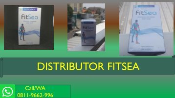 JUAL FITSEA di BEKASI!!! CALL/WA 0811-9662-996, Obat Herbal Nyeri Persendian Lutut