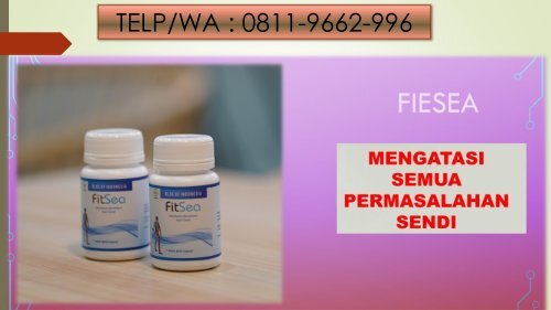 PROMO FITSEA di Yogyakarta!!! CALL/WA 0811-9662-996, Obat Herbal Nyeri Sendi Dan Demam