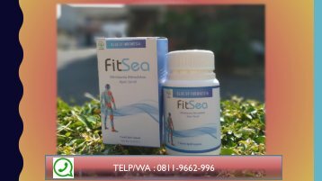 FITSEA TERBUKTI!!!  CALL/WA 0811-9662-996, Obat Herbal Nyeri Persendian Tangan Dan Lutut di Kebumen